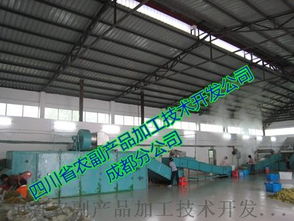 高效脱水黄瓜生产线及黄瓜片脱水烘干工艺解析